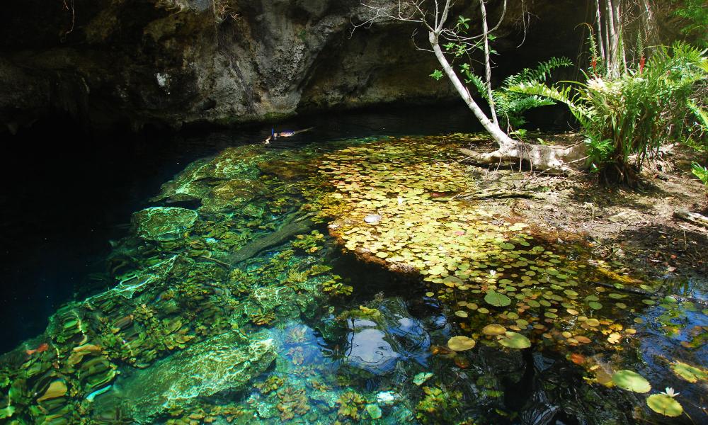 Gran Cenote   